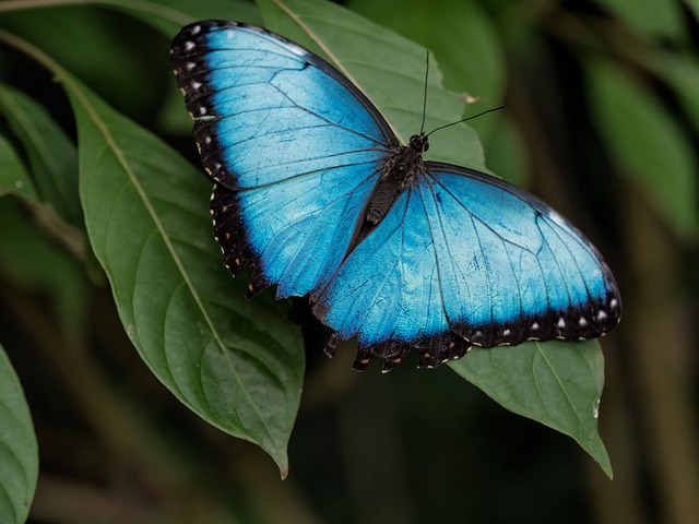 INT COSTA-RICA 12-2014 EM1 15271.jpg