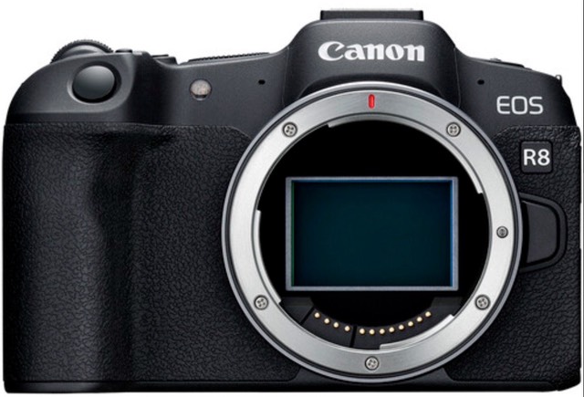 bythom canon r8