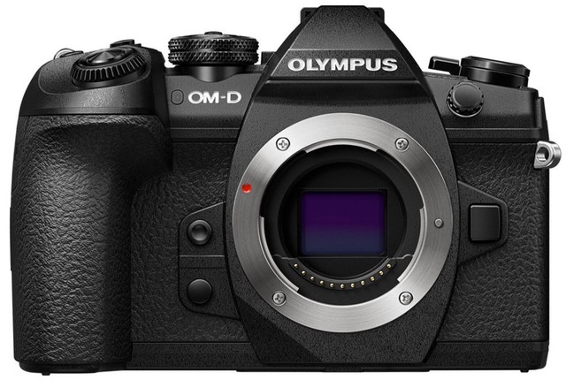 Appal kruis geloof Olympus E-M1 Mark II Camera Review | Sans Mirror | Thom Hogan