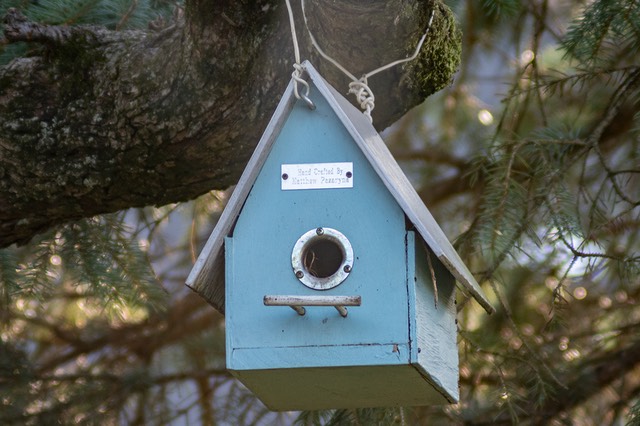 bythom opteka birdhouse