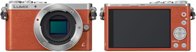 gm1orange.jpg