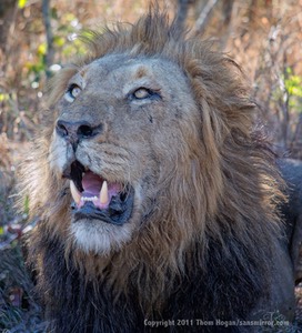 INT_AF_SouthAfrica_9-2011_EP3_19236