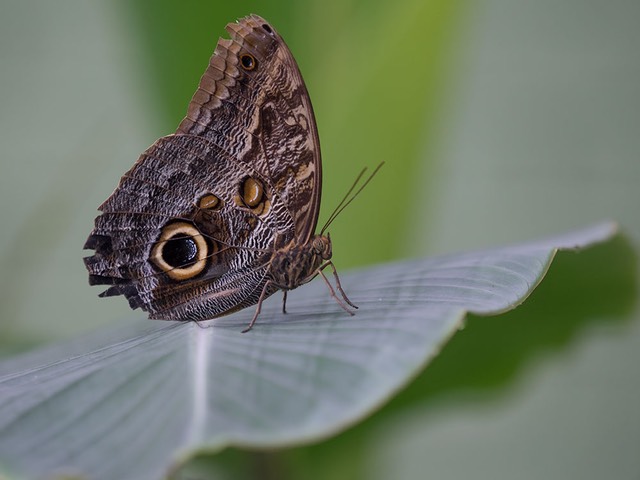 INT COSTA-RICA 12-2014 EM1 14311.jpg