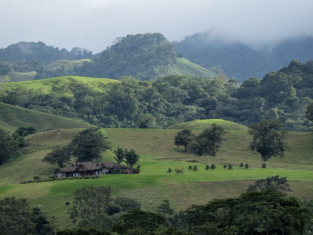 INT COSTA-RICA 12-2014 EM1 14876.jpg