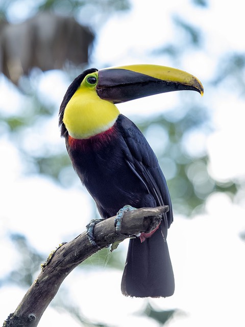 INT COSTA-RICA 12-2014 EM1 15025.jpg