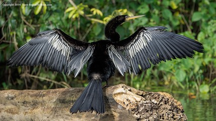 INT COSTA-RICA 12-2014 EM1 15464.jpg