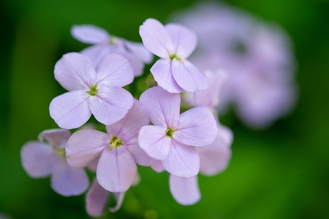US PA LehighPkwy 5-2013 XE160mm 29738.jpg